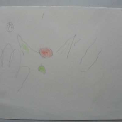 16 - Zak (3)